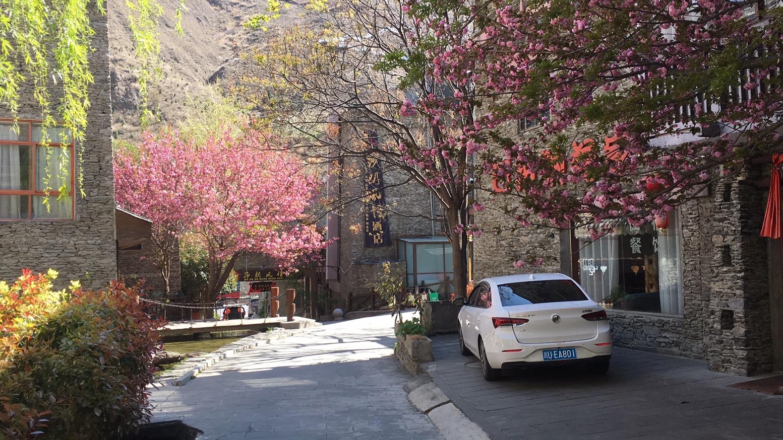 ‎Check network for missing images.