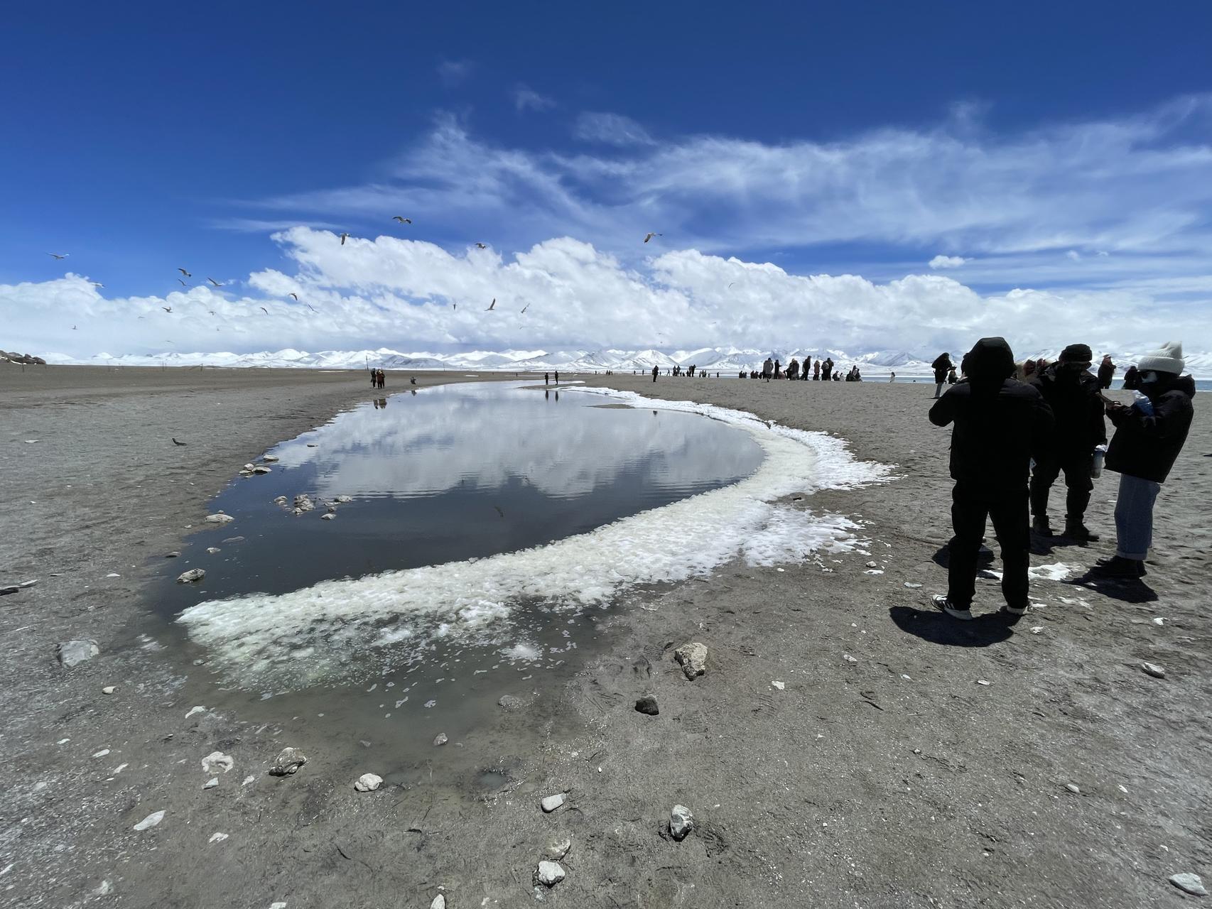 ‎Check network for missing images.