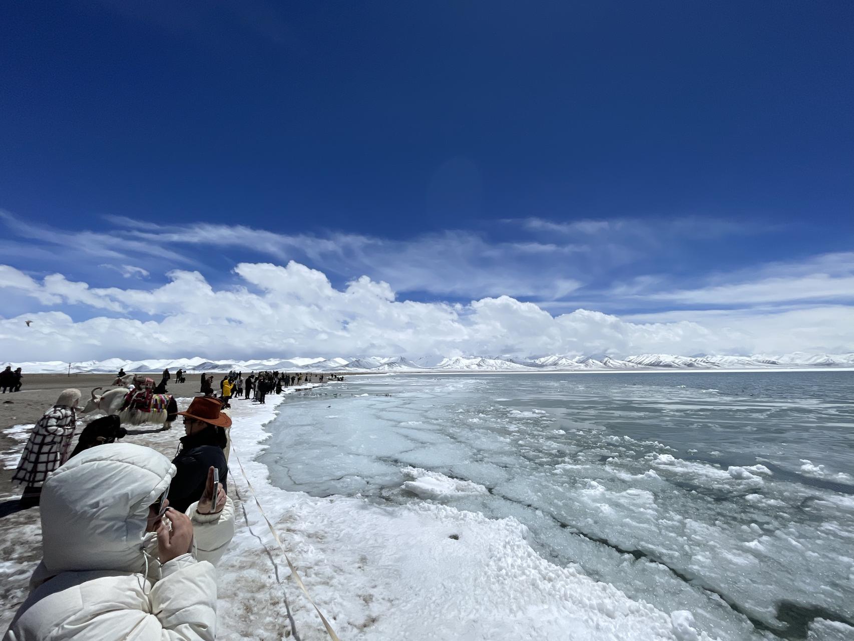 ‎Check network for missing images.