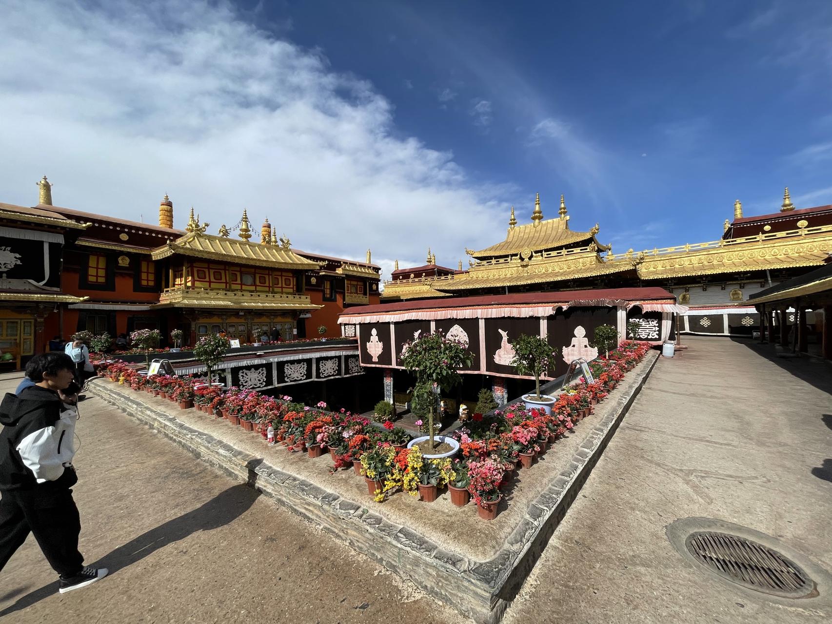 ‎Check network for missing images.