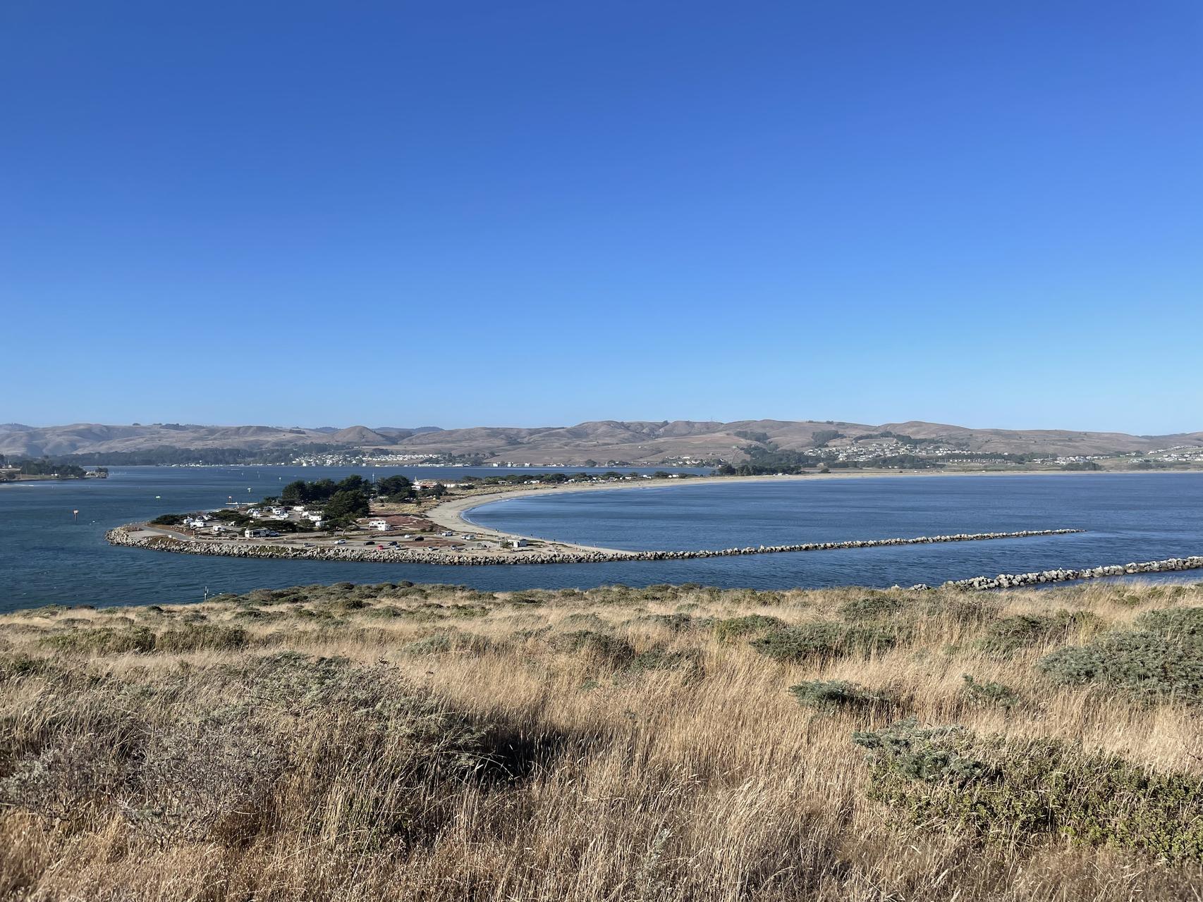 ‎Check network for missing images.