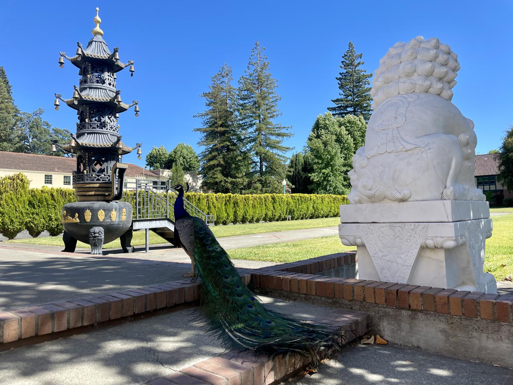 ‎Check network for missing images.