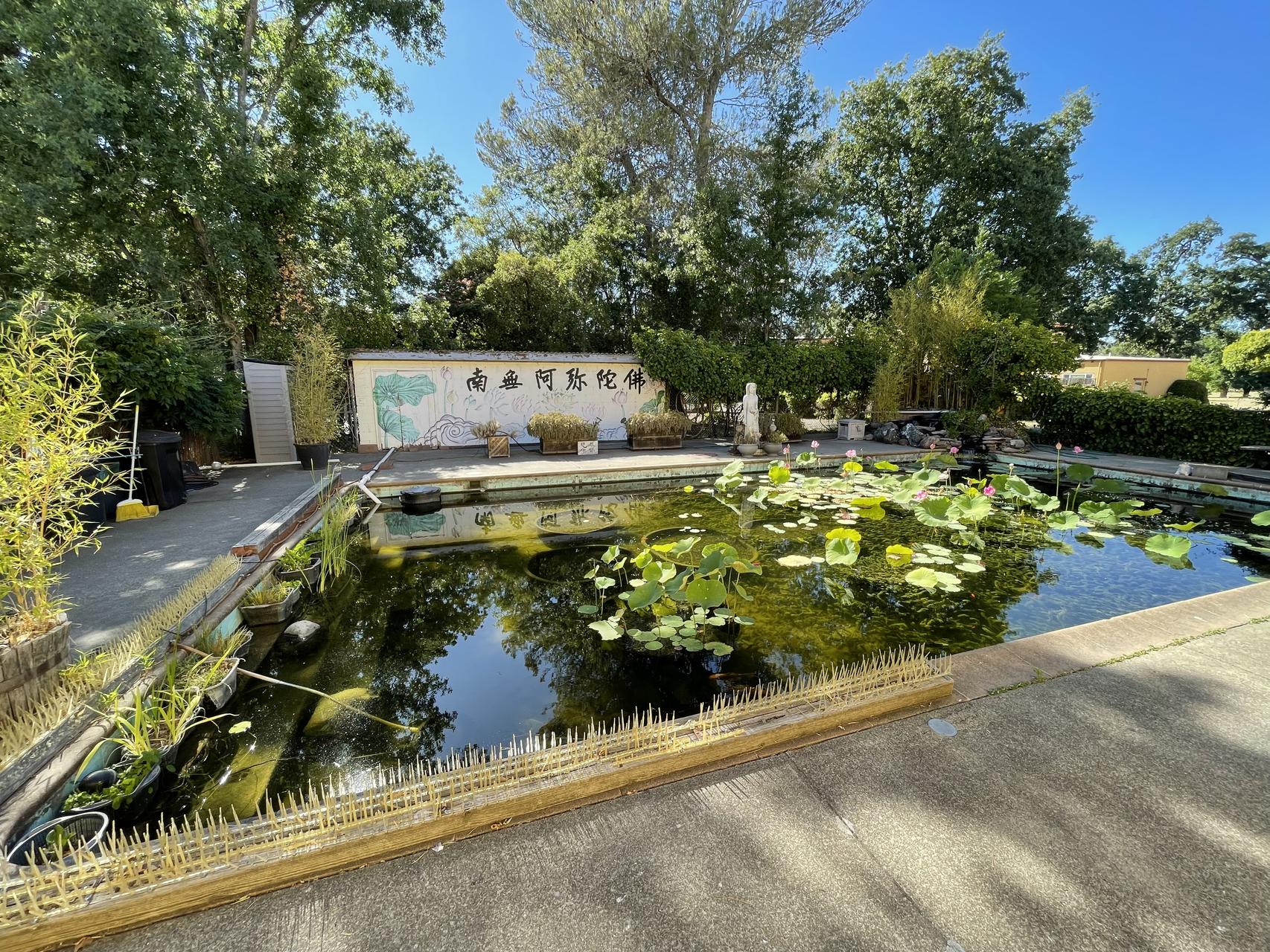 ‎Check network for missing images.