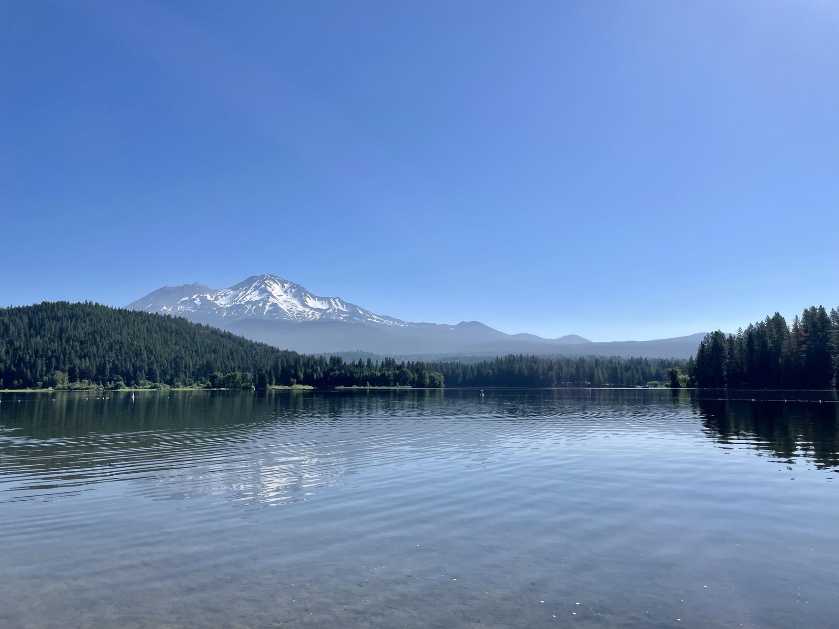 ‎Check network for missing images.