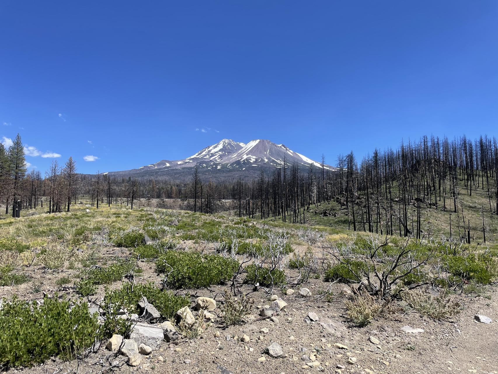 ‎Check network for missing images.