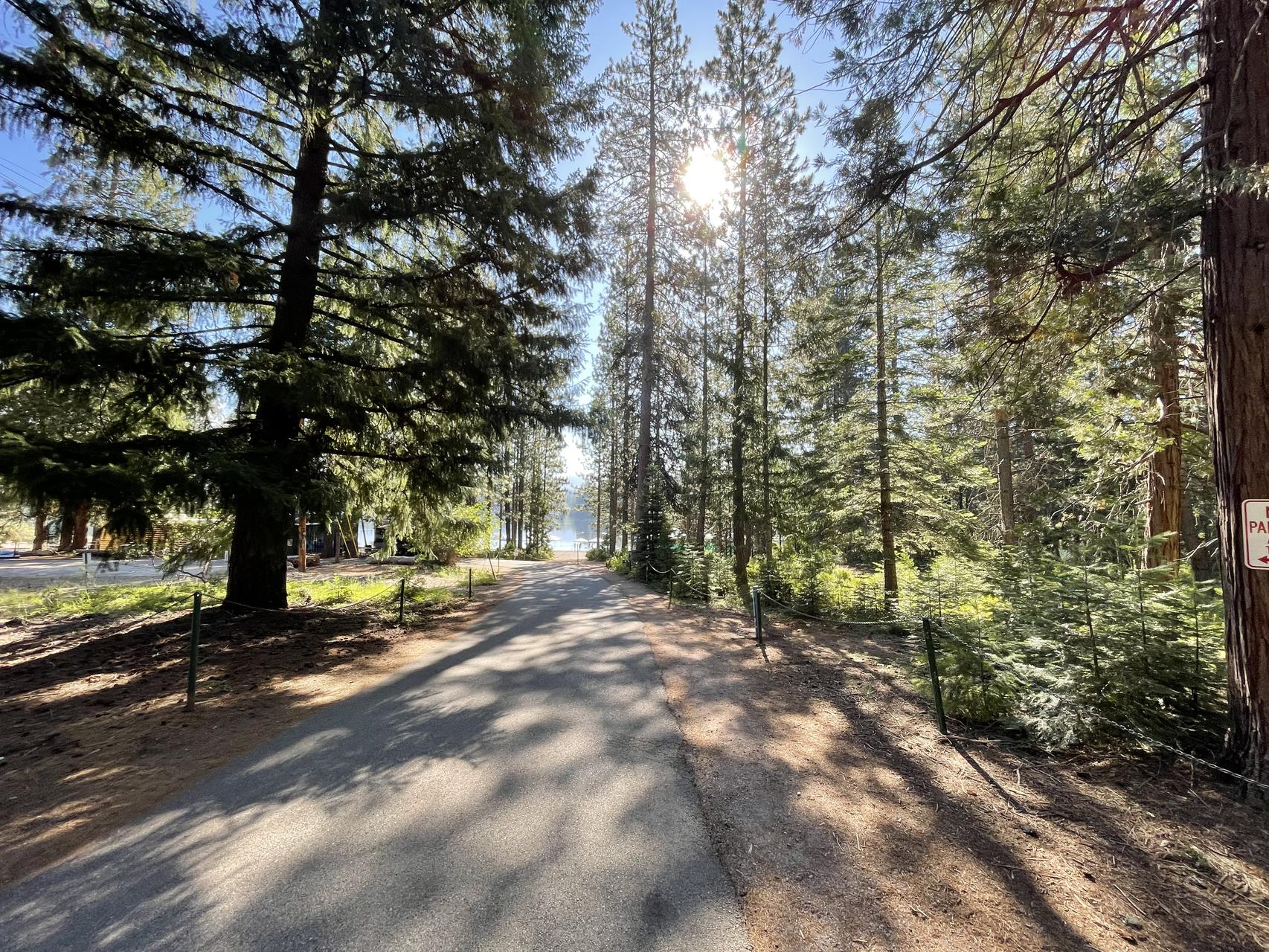 ‎Check network for missing images.