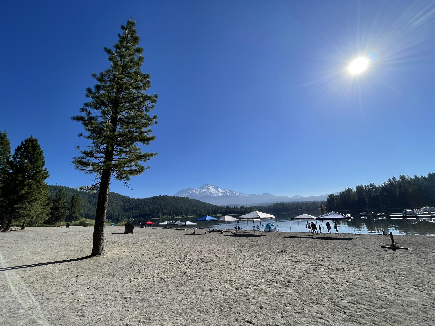 ‎Check network for missing images.