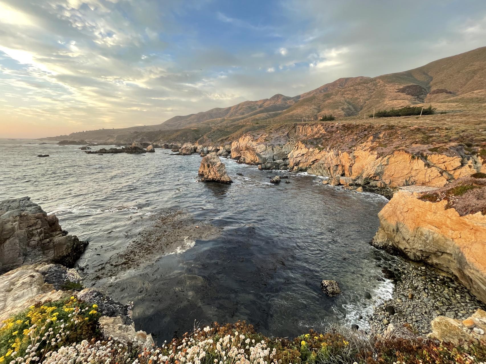 ‎Check network for missing images.