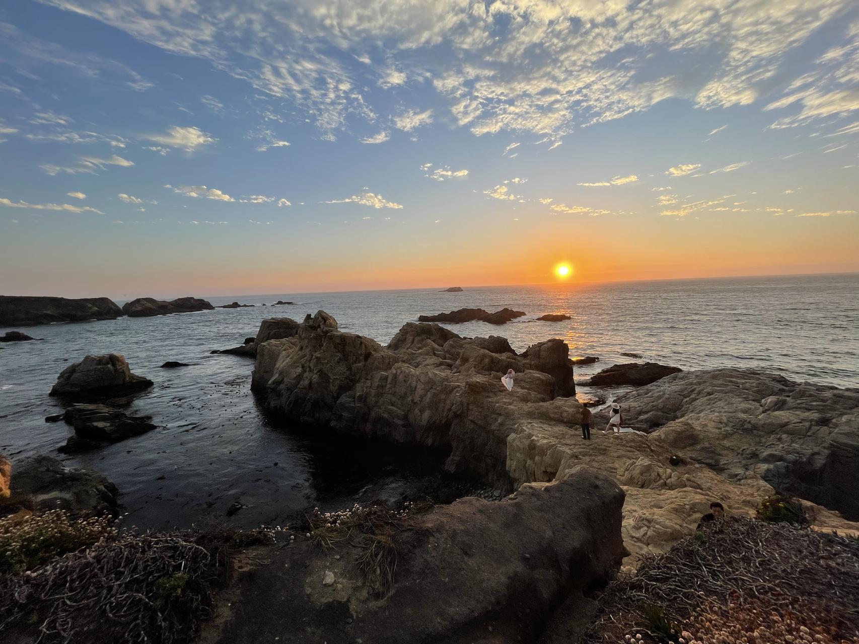 ‎Check network for missing images.