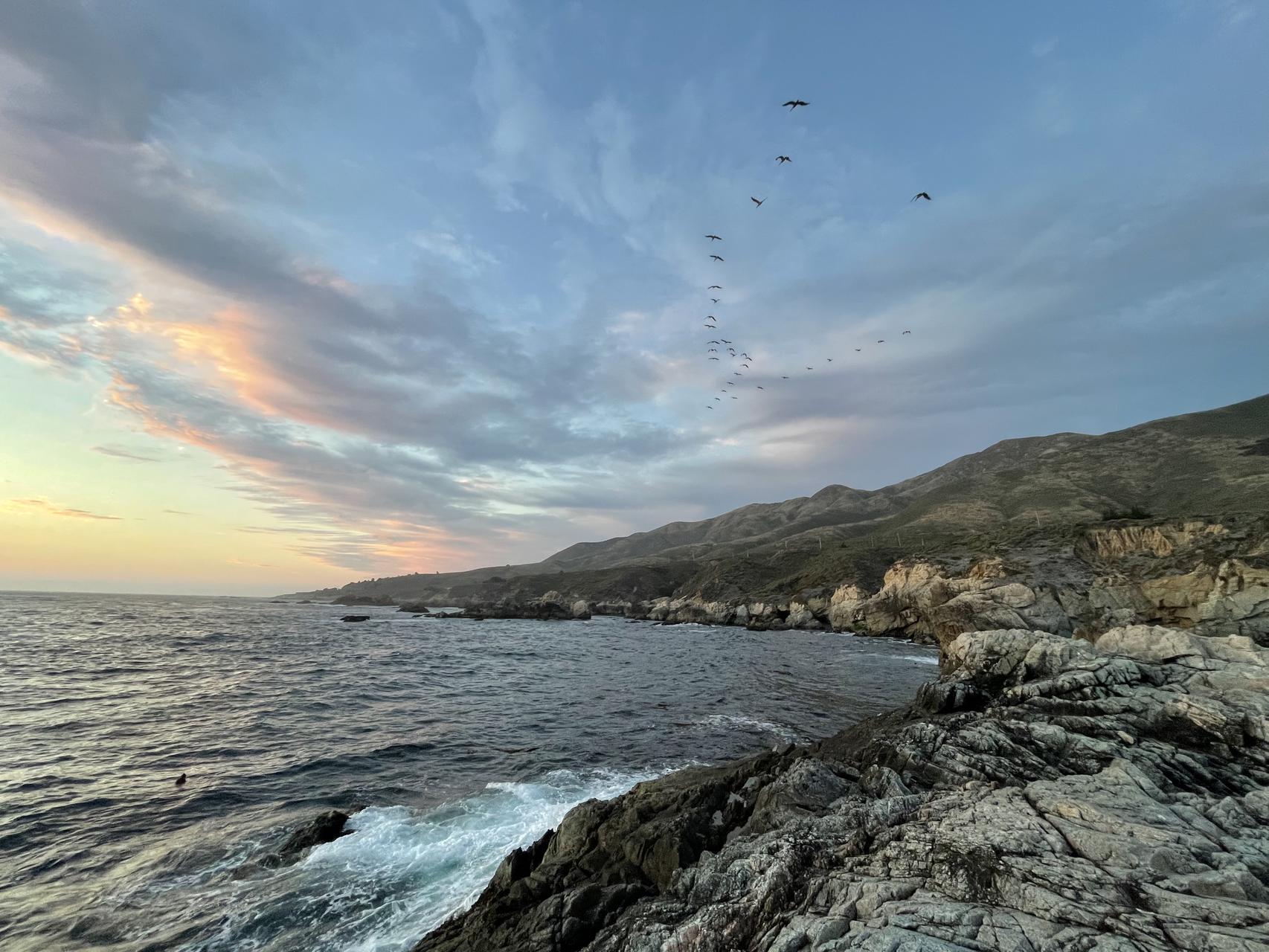 ‎Check network for missing images.