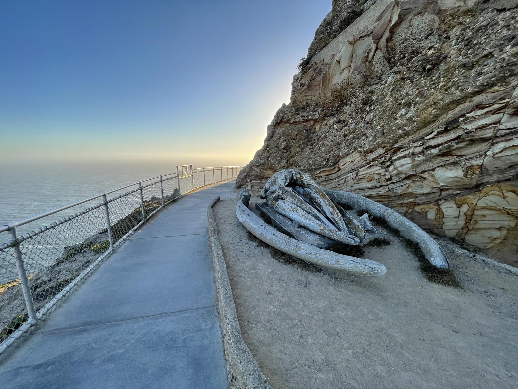 ‎Check network for missing images.