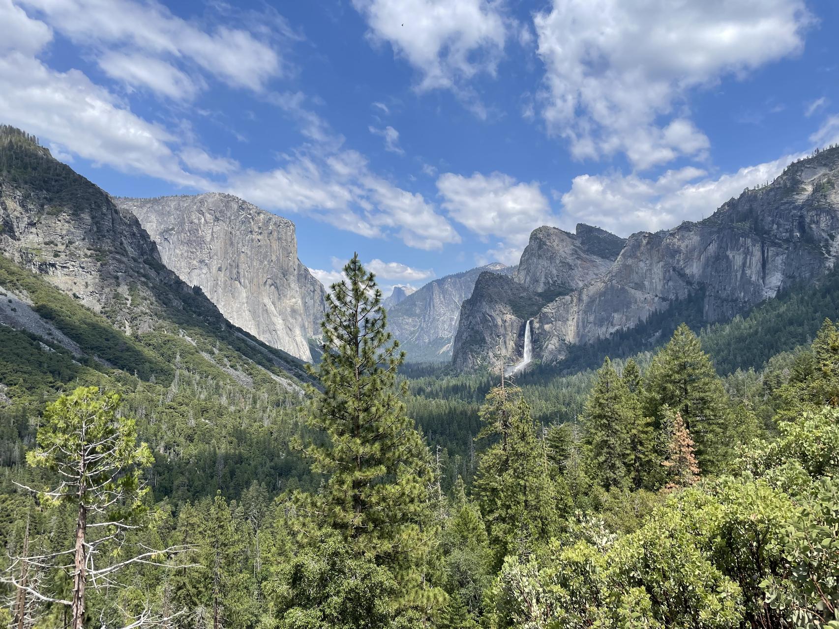 ‎Check network for missing images.