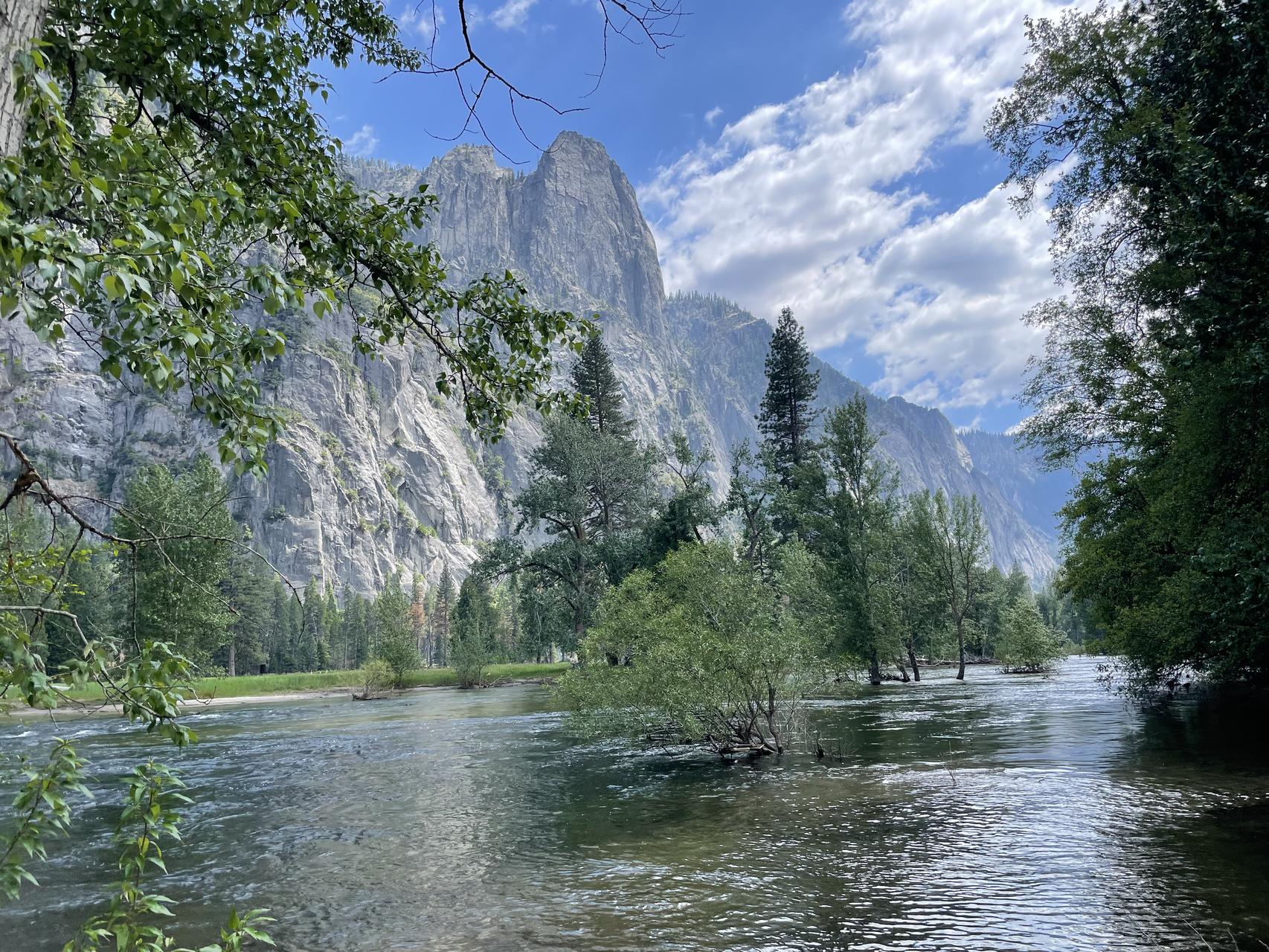 ‎Check network for missing images.