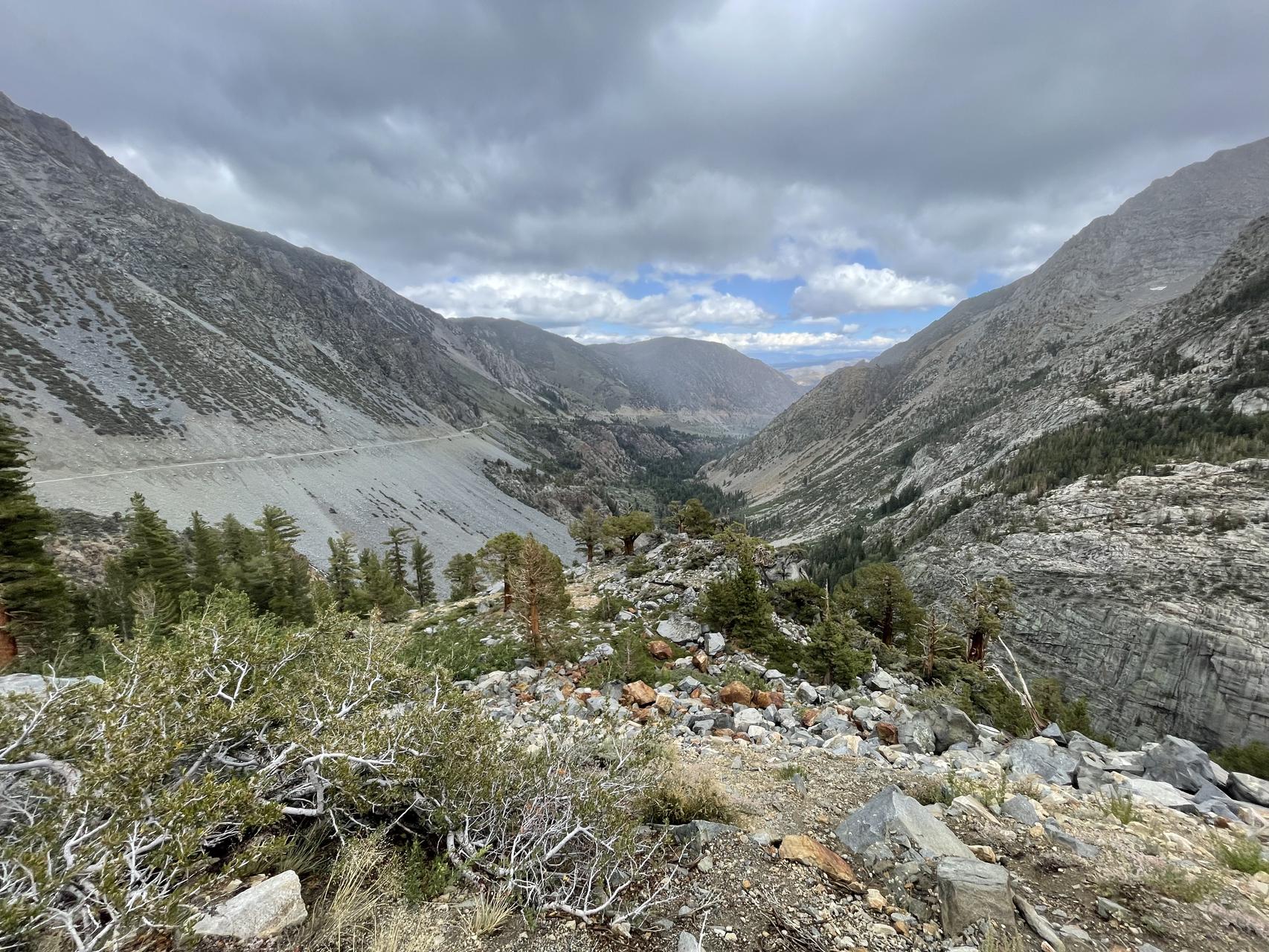 ‎Check network for missing images.