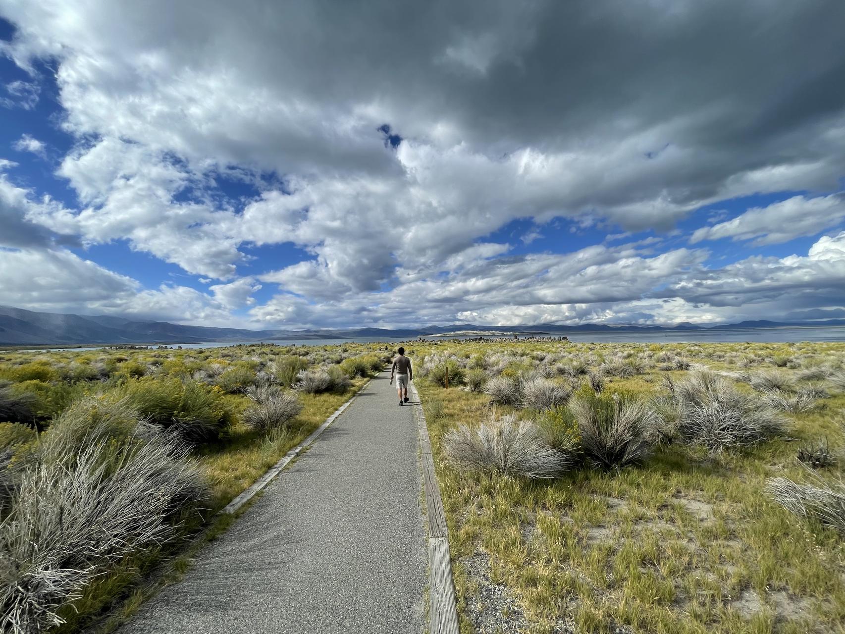 ‎Check network for missing images.