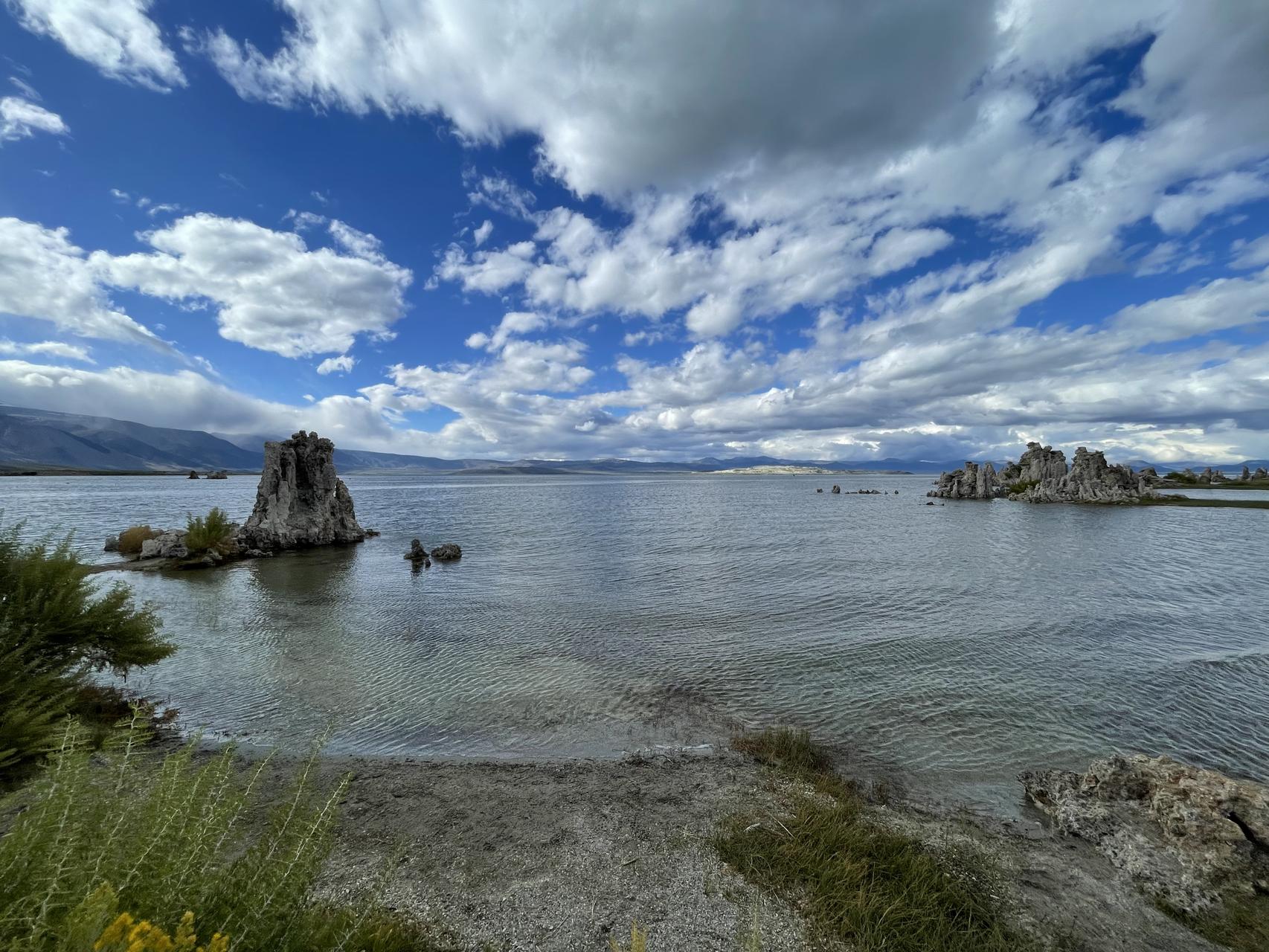 ‎Check network for missing images.