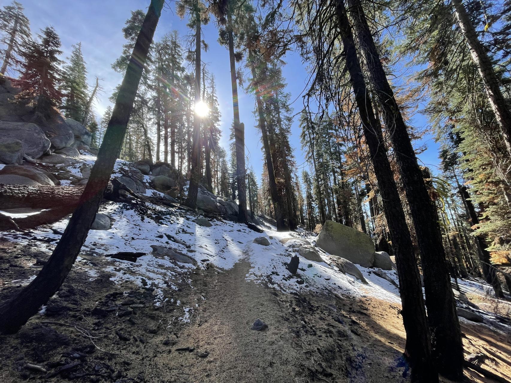 ‎Check network for missing images.