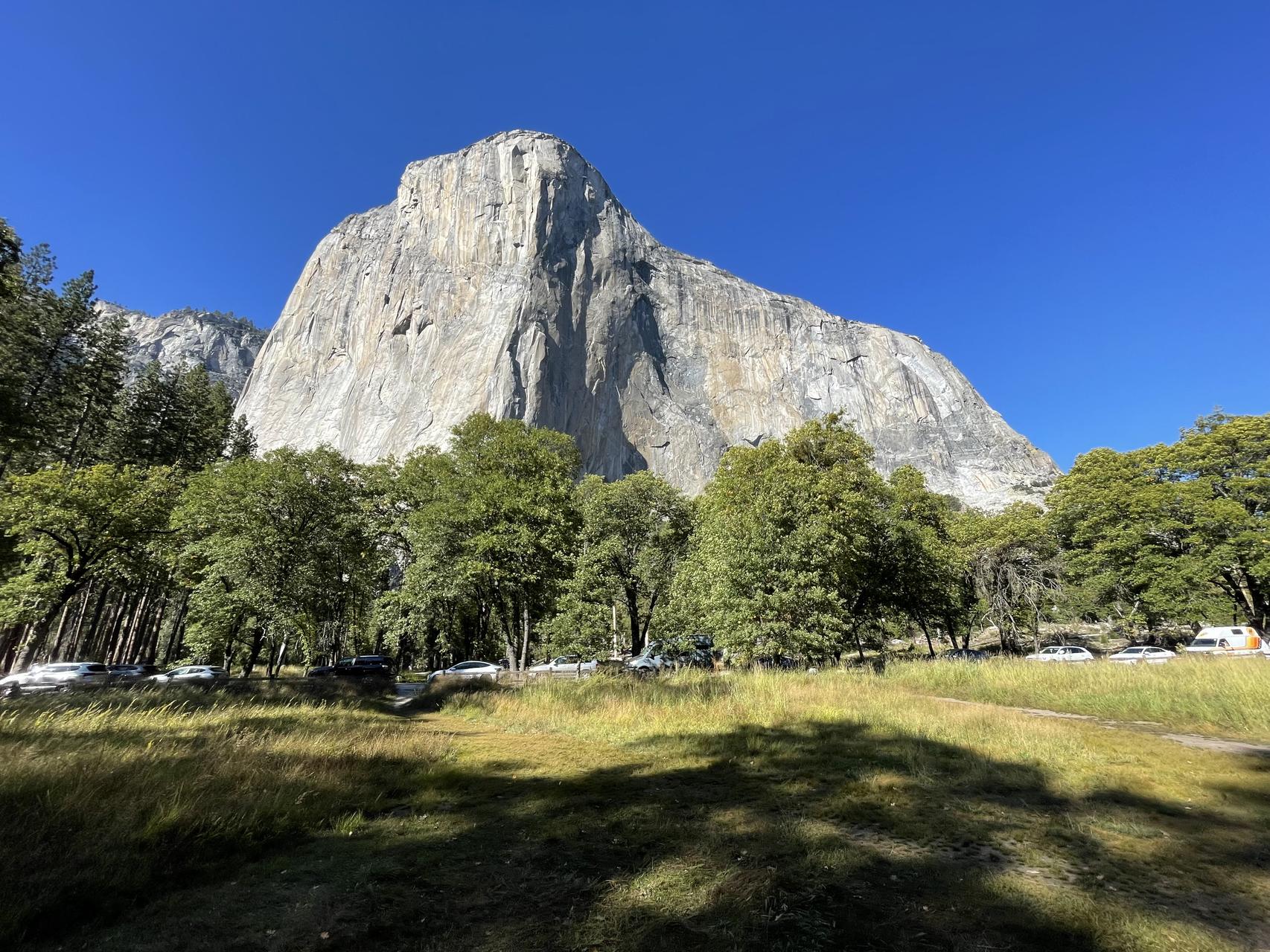 ‎Check network for missing images.