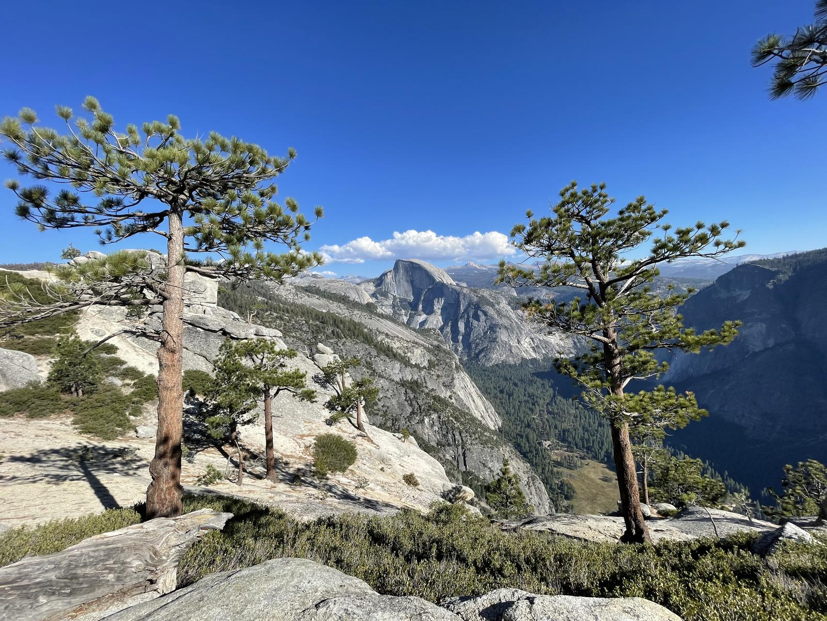 ‎Check network for missing images.