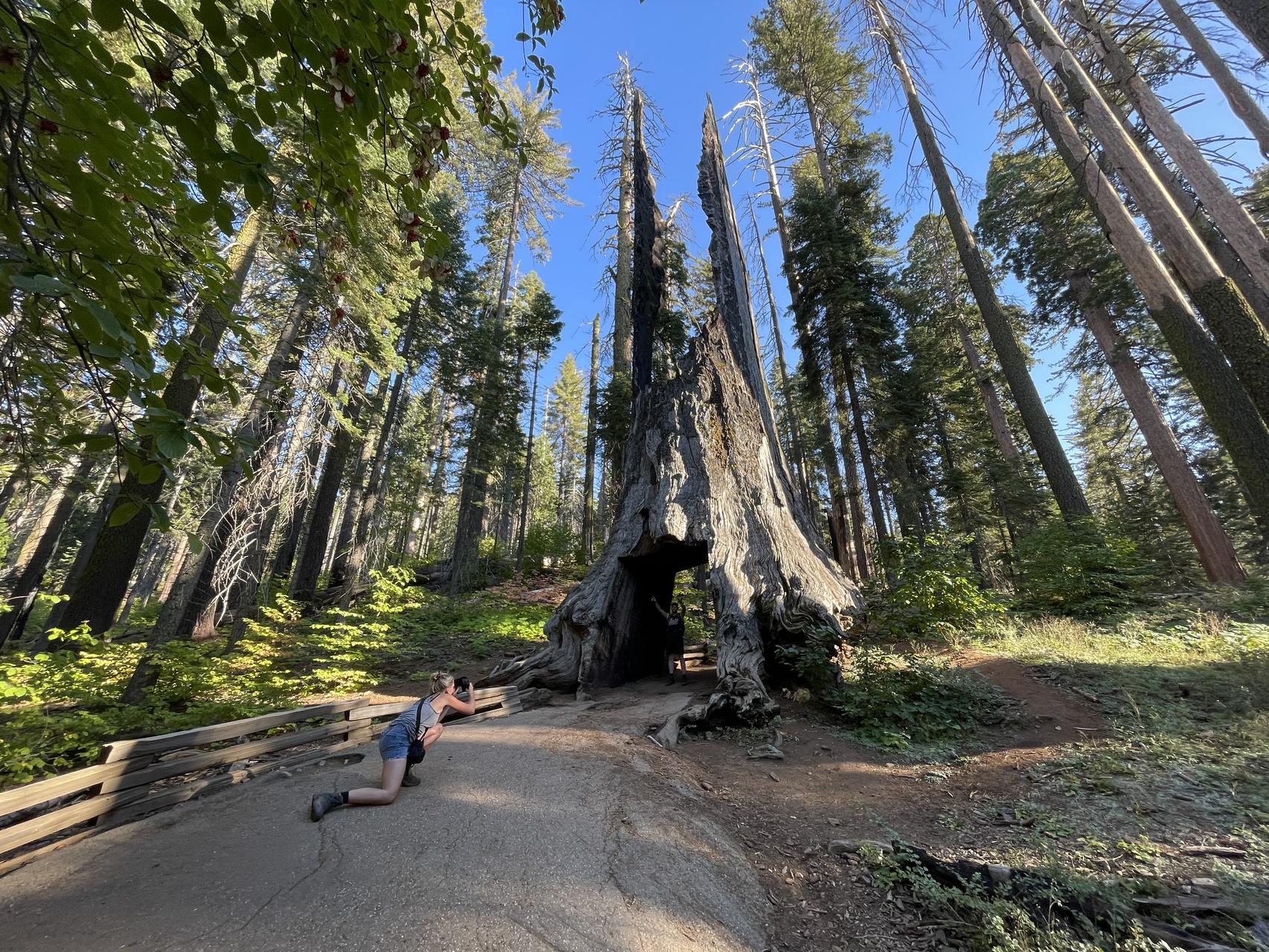 ‎Check network for missing images.