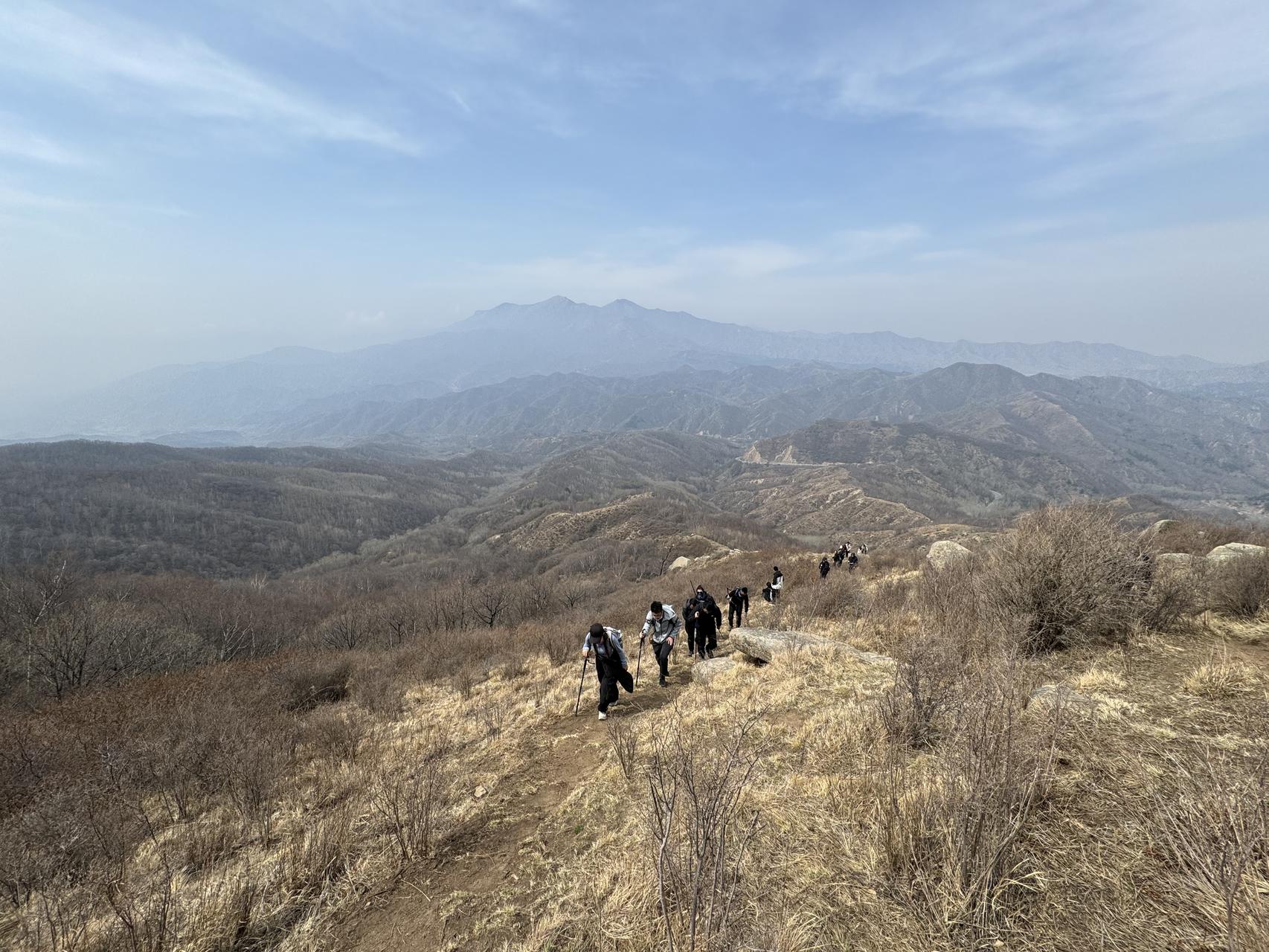 ‎Check network for missing images.