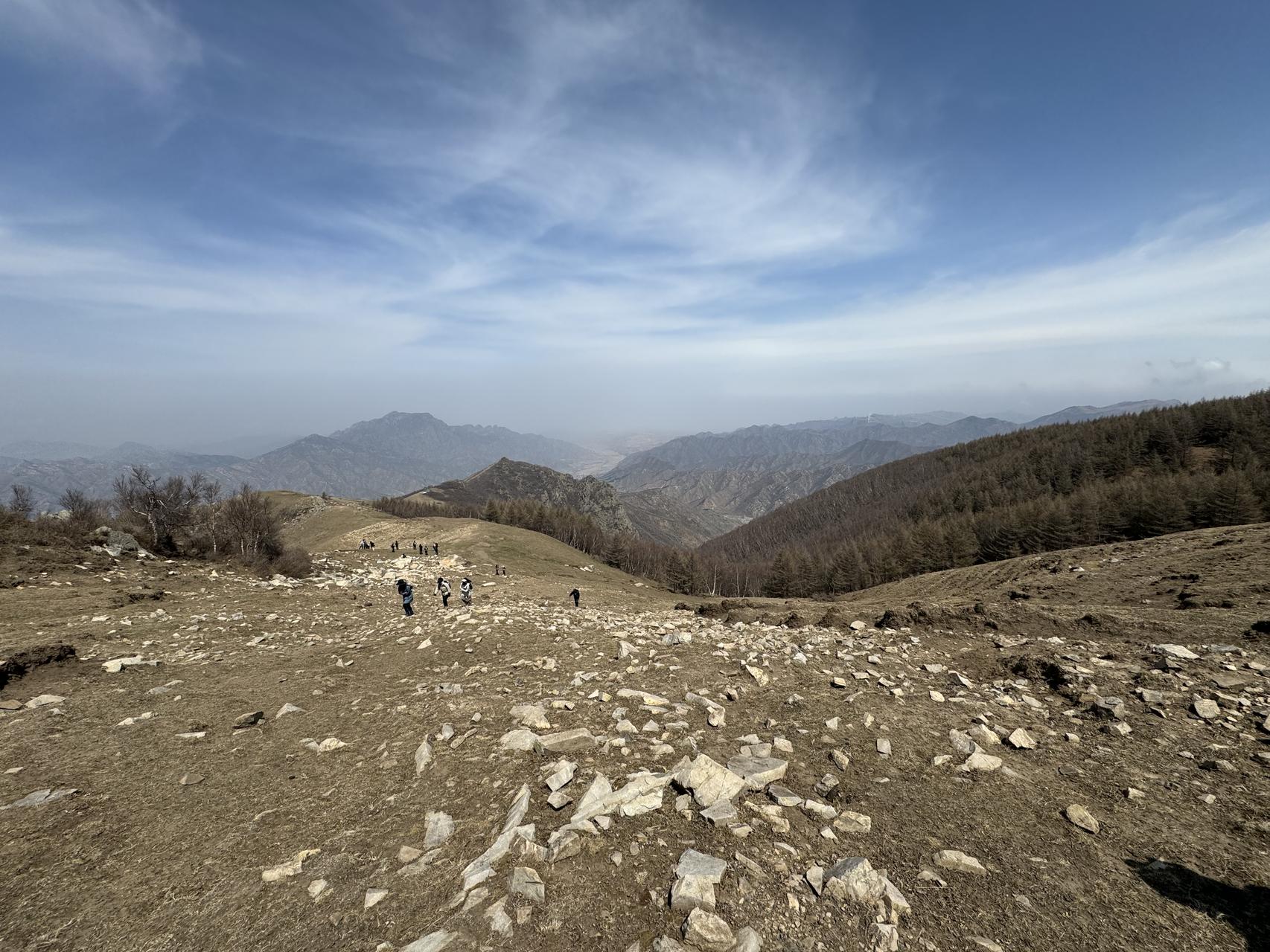 ‎Check network for missing images.