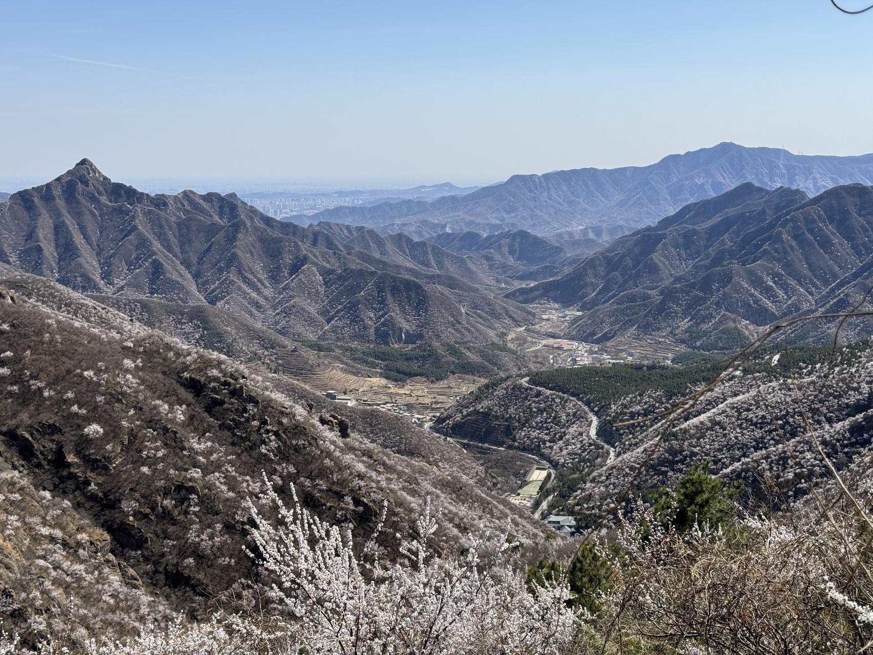 ‎Check network for missing images.