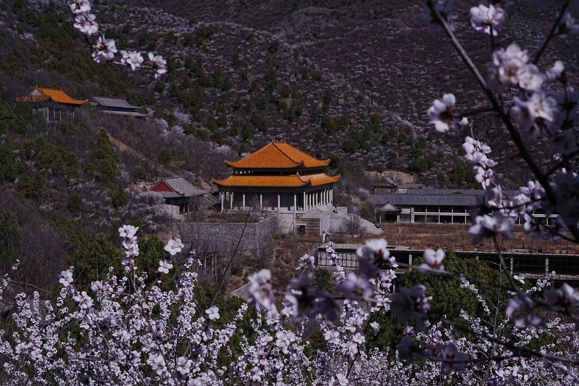 ‎Check network for missing images.