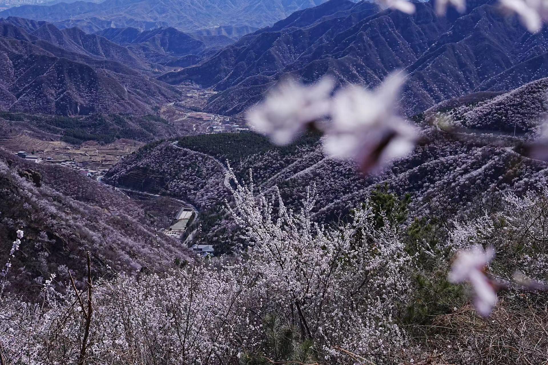 ‎Check network for missing images.