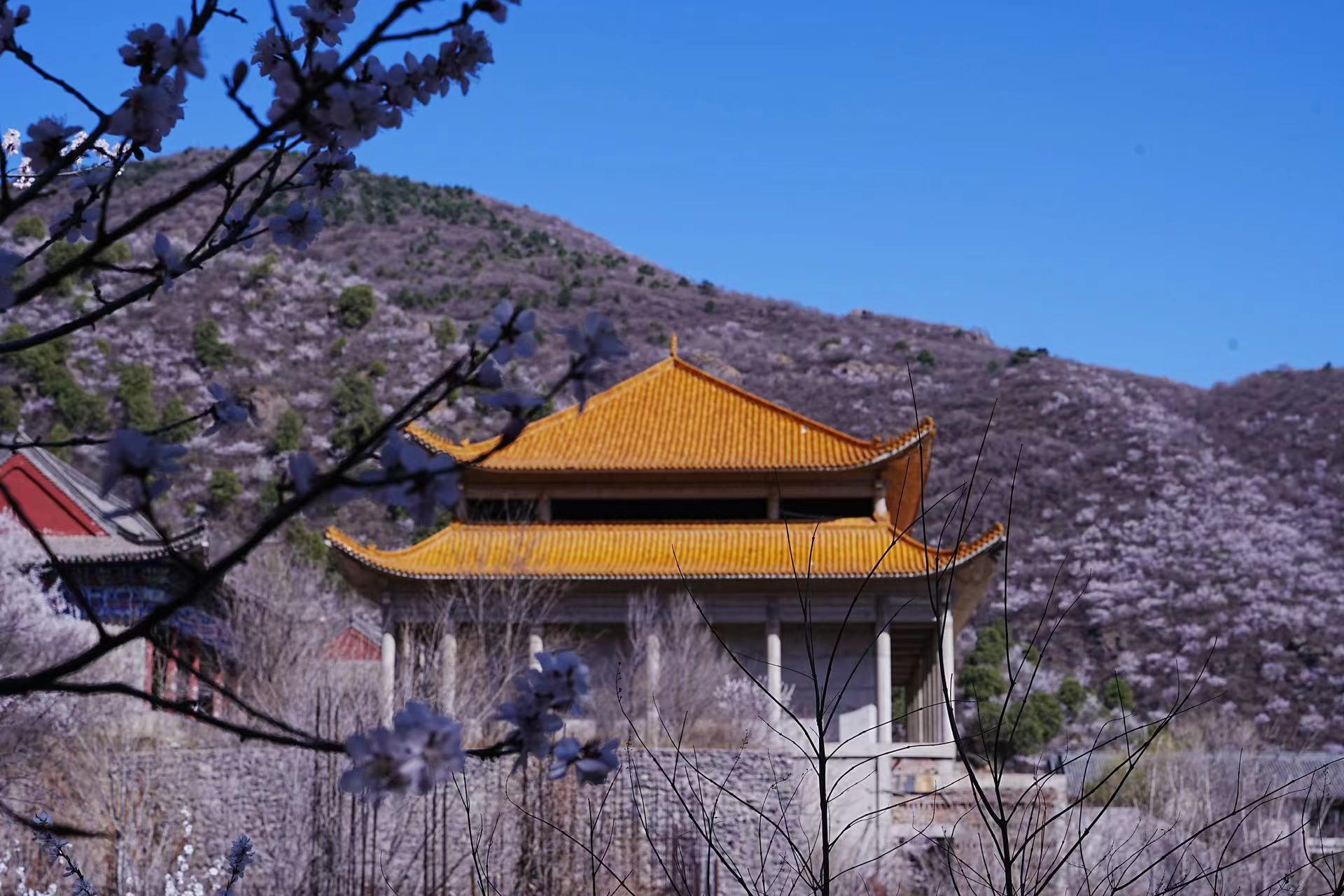 ‎Check network for missing images.