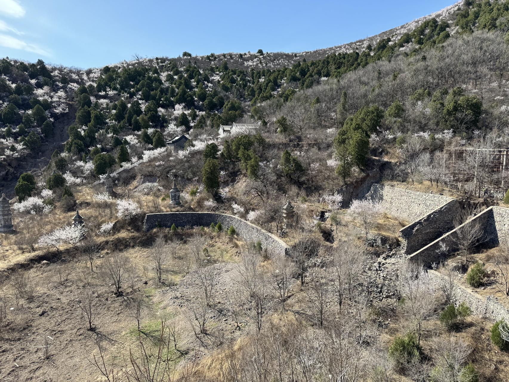 ‎Check network for missing images.