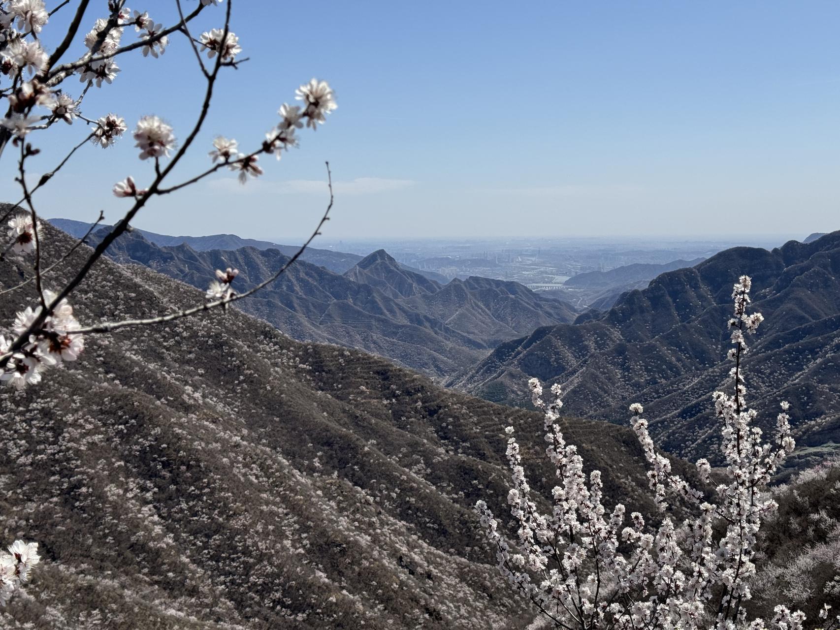 ‎Check network for missing images.