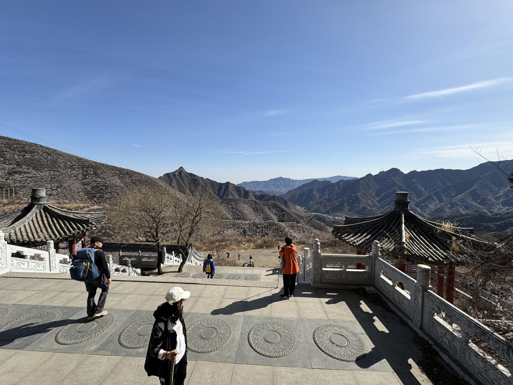 ‎Check network for missing images.