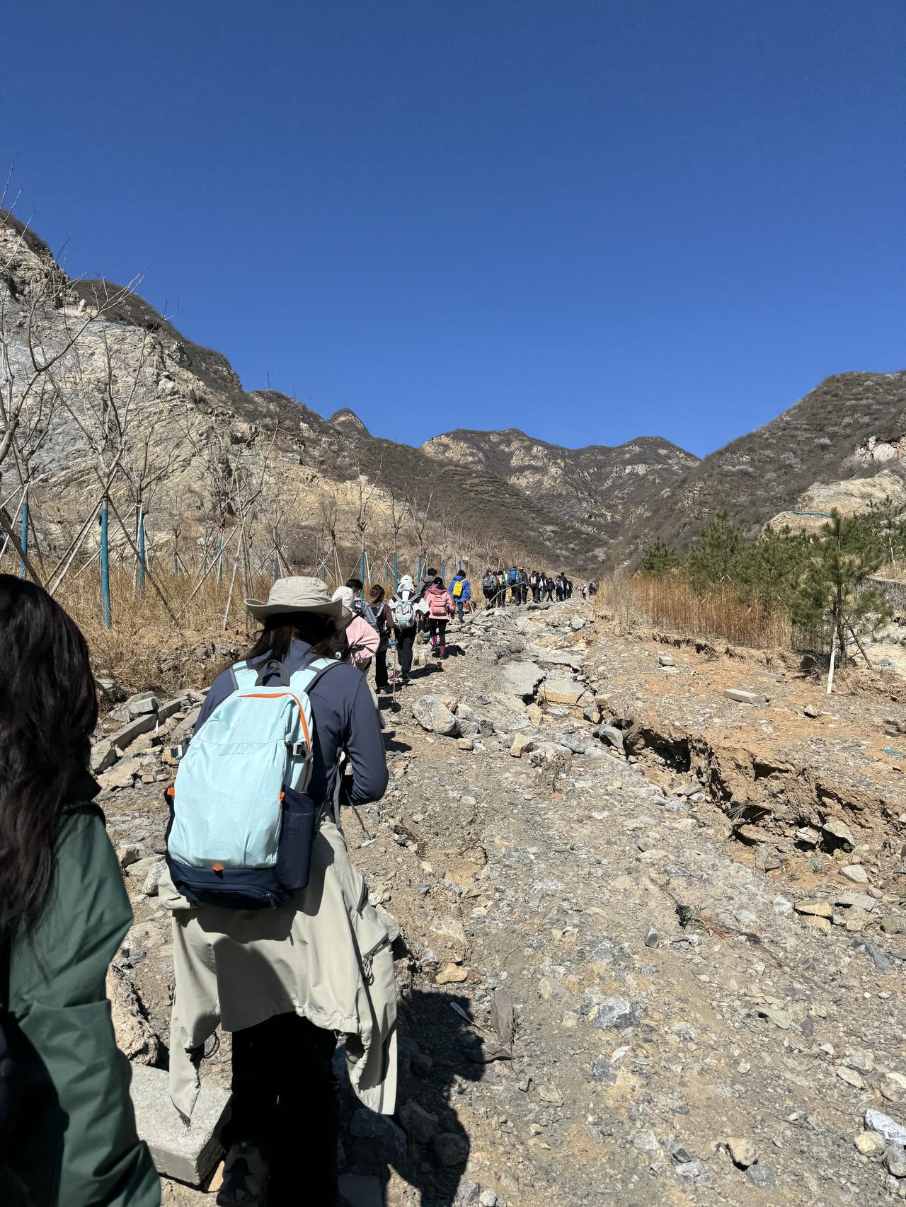 ‎Check network for missing images.