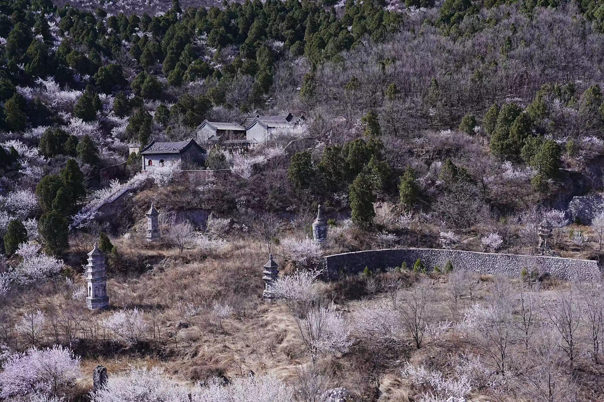 ‎Check network for missing images.