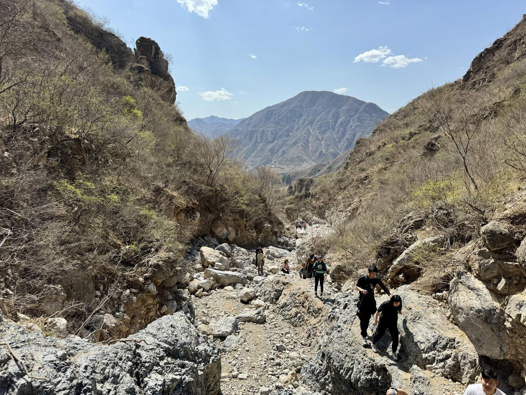 ‎Check network for missing images.