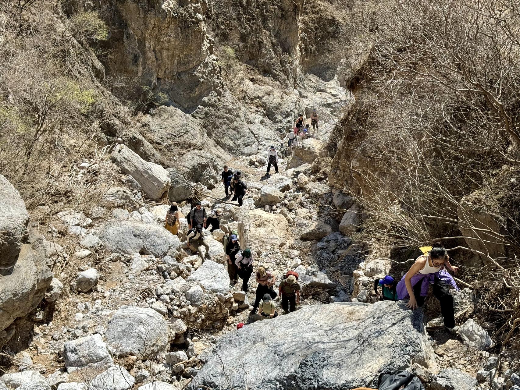 ‎Check network for missing images.