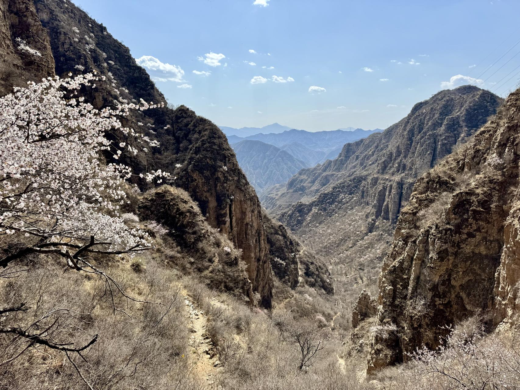 ‎Check network for missing images.