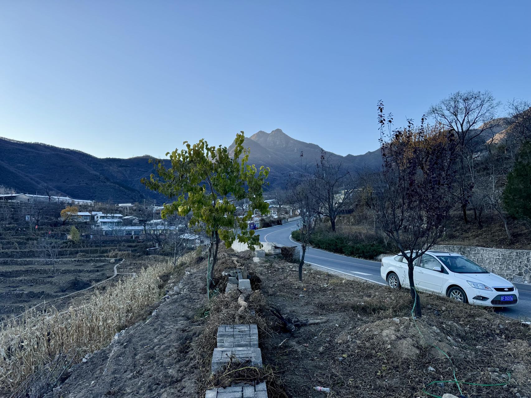 ‎Check network for missing images.