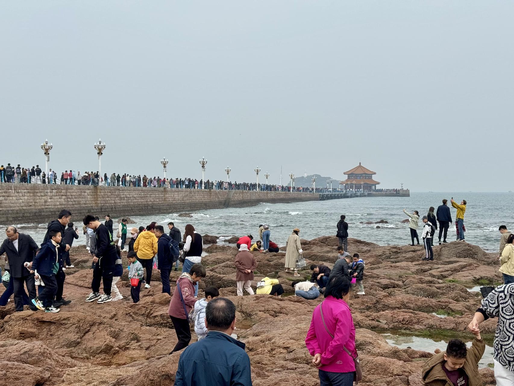 ‎Check network for missing images.