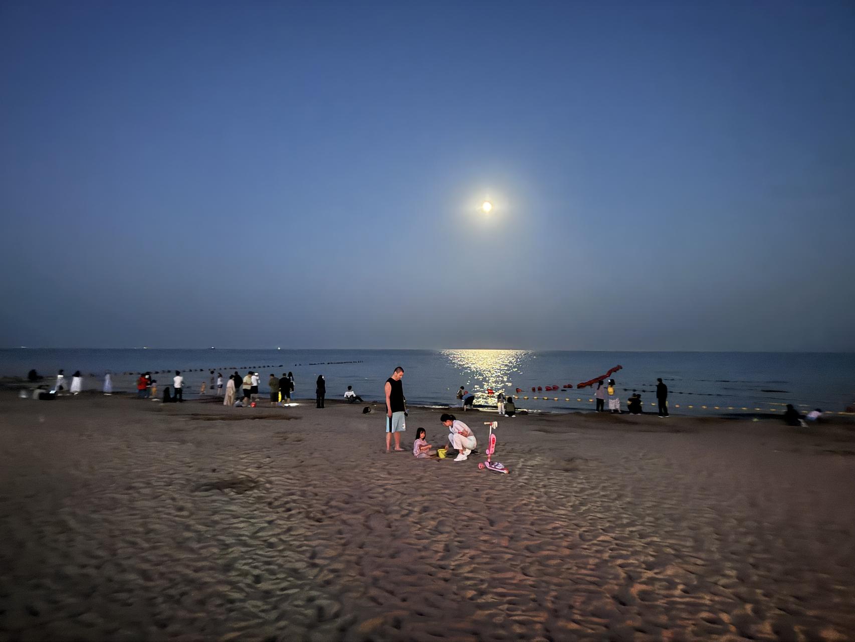 ‎Check network for missing images.