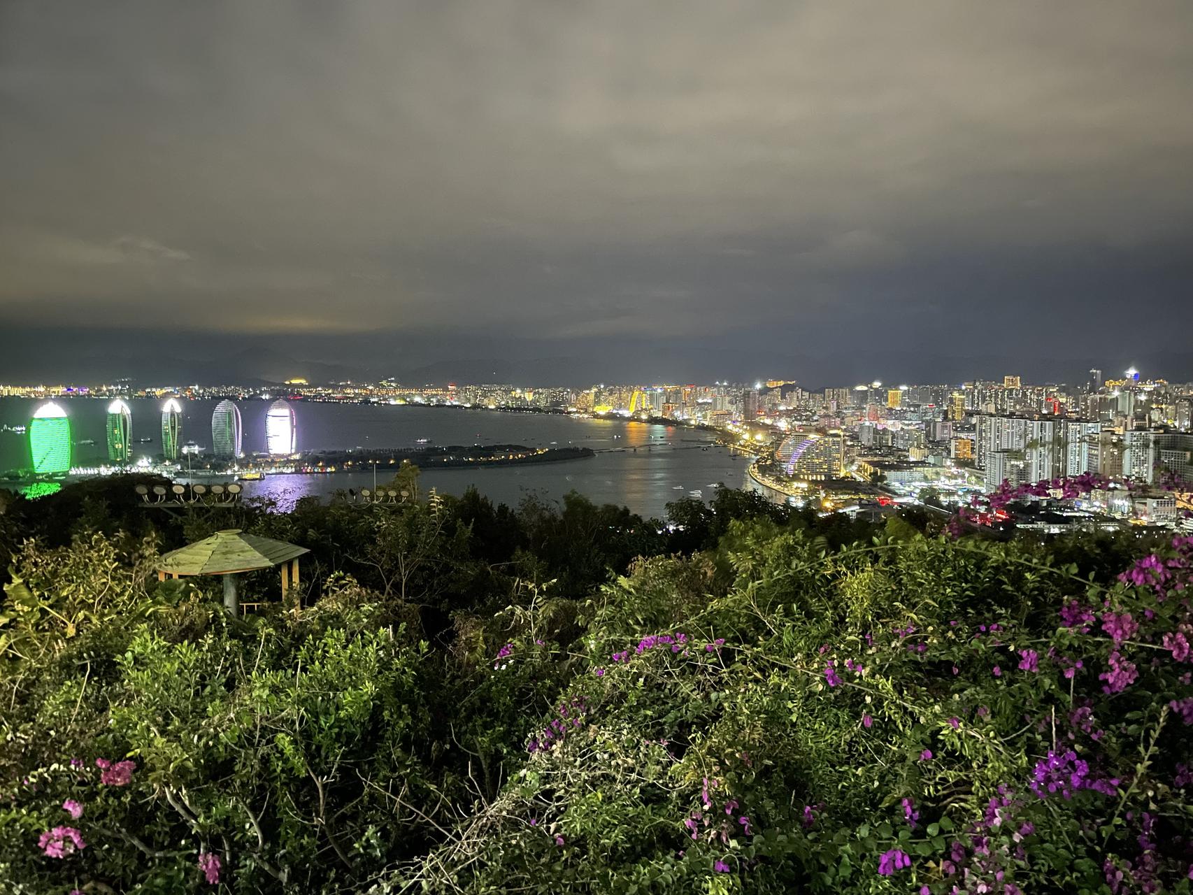 ‎Check network for missing images.