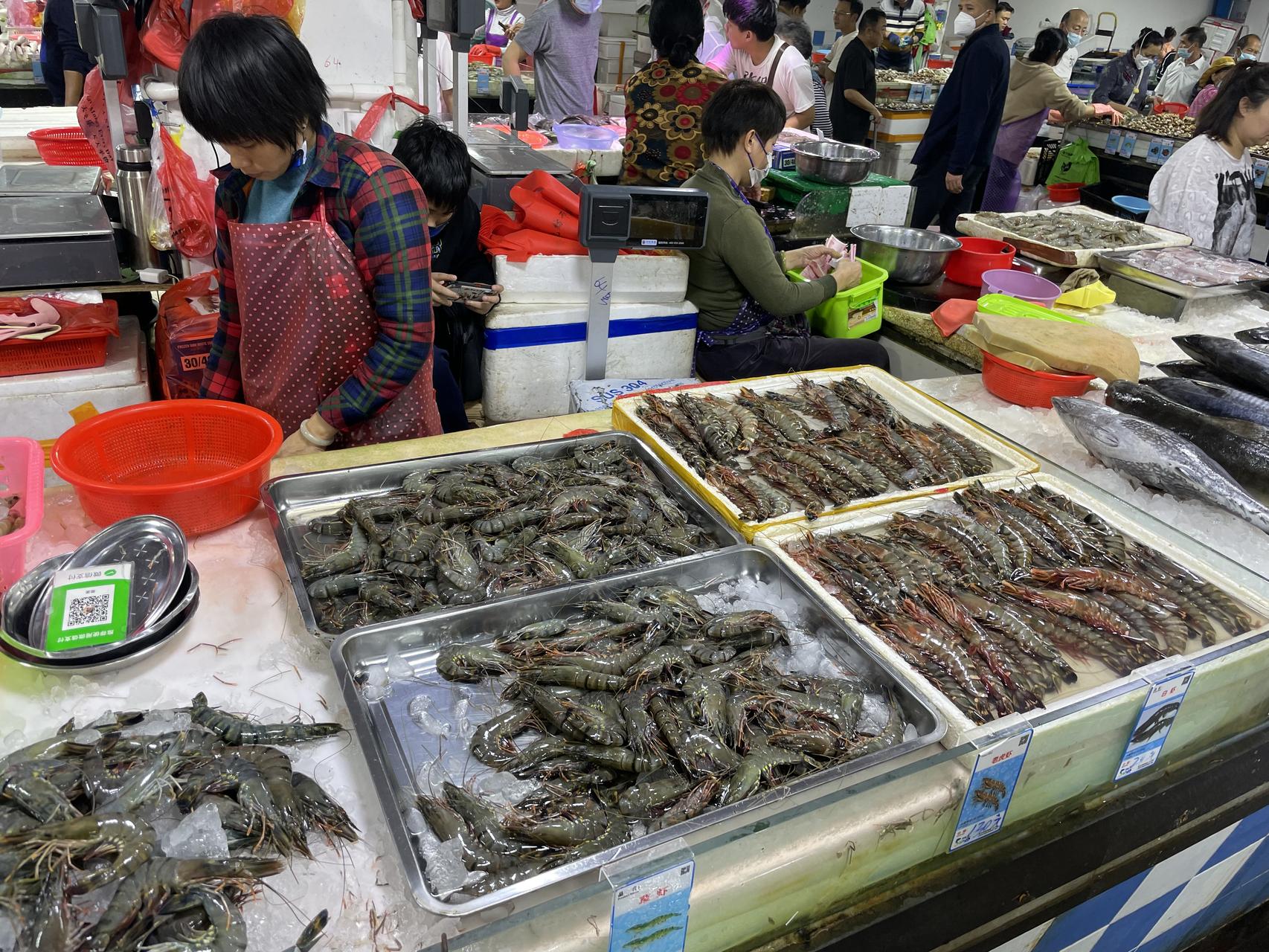 ‎Check network for missing images.