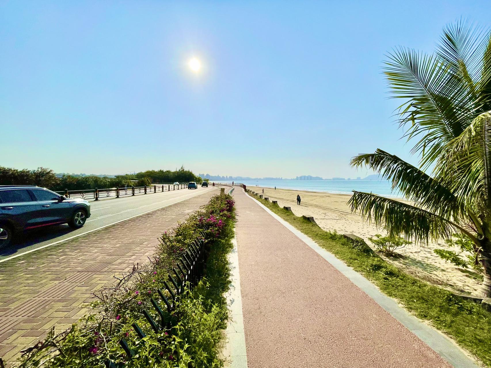 ‎Check network for missing images.