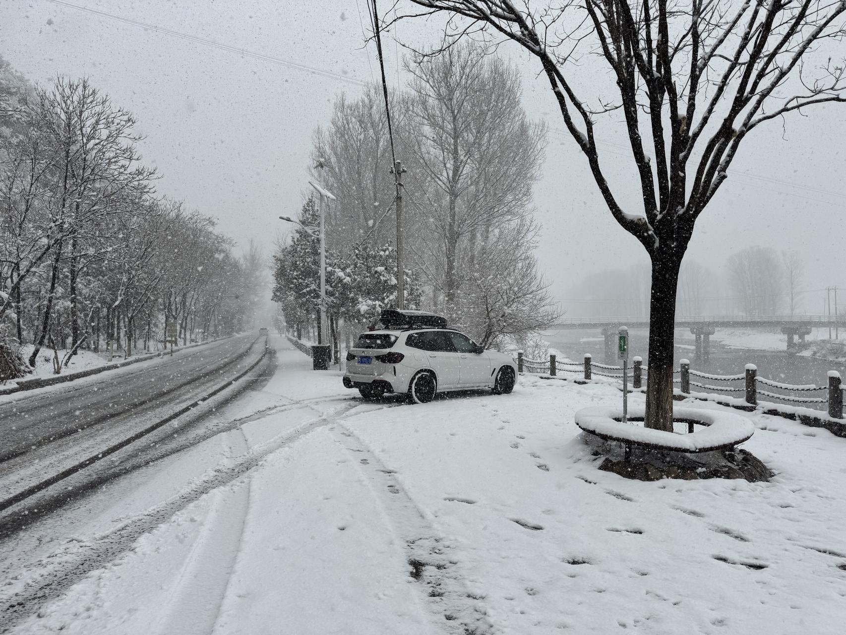 ‎Check network for missing images.