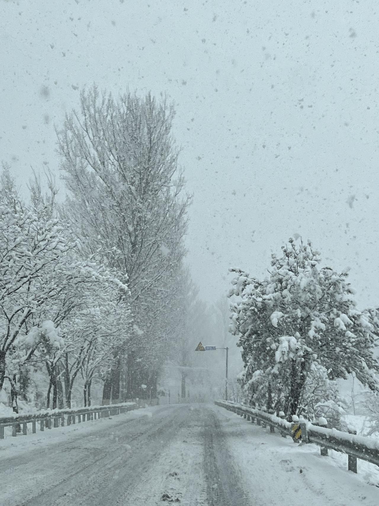 ‎Check network for missing images.