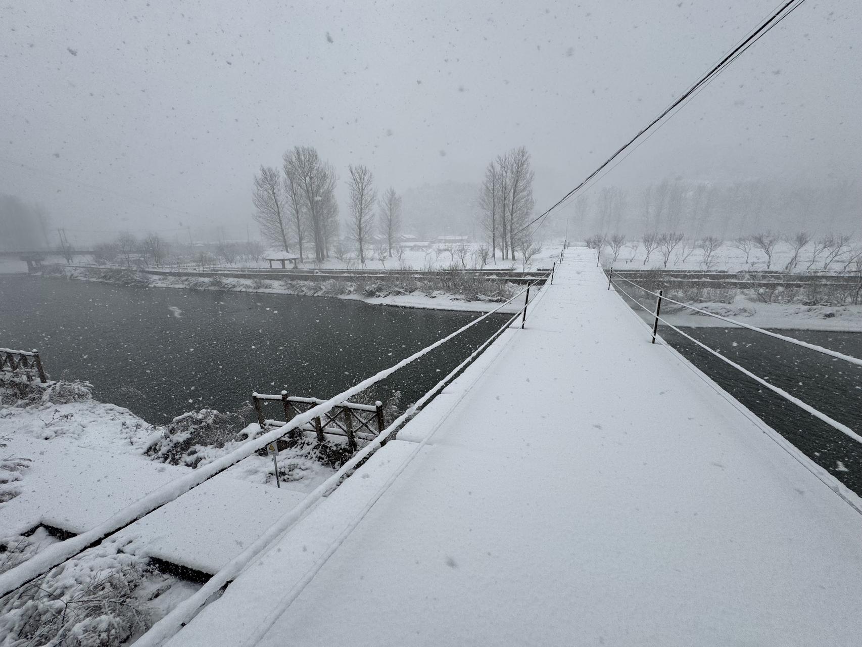 ‎Check network for missing images.