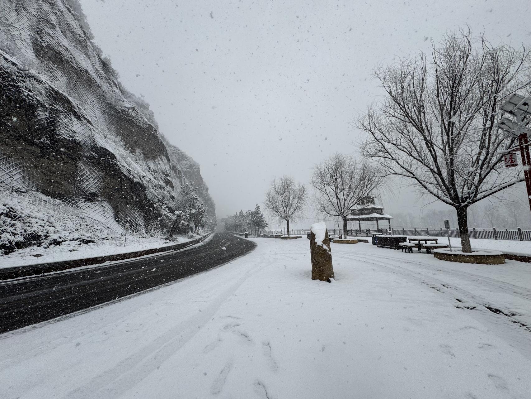 ‎Check network for missing images.