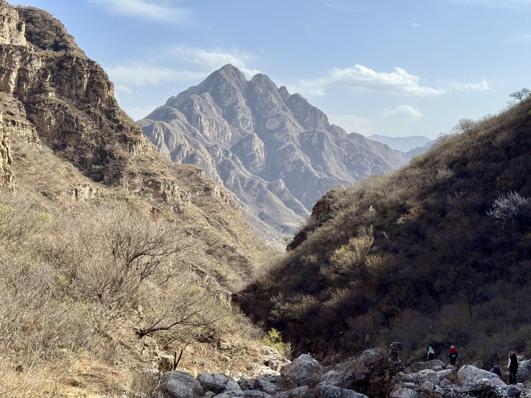 ‎Check network for missing images.