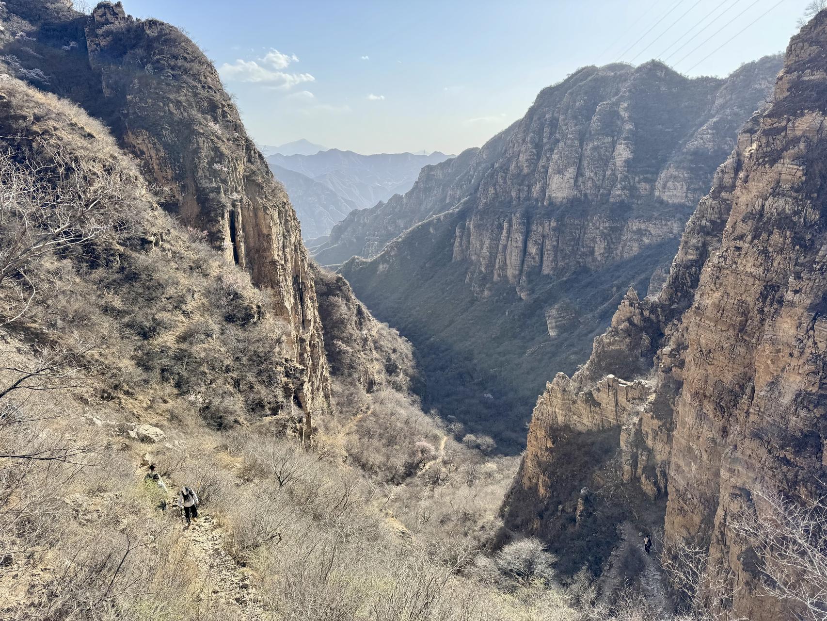 ‎Check network for missing images.